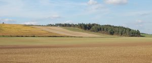 Flurbereinigung und Flurneuordnungsverfahren – Vertretung von Landwirten